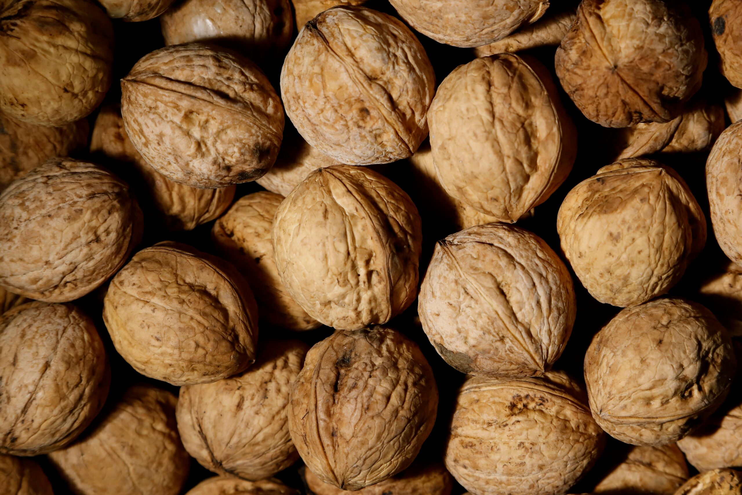 A detailed close-up of fresh unshelled walnuts, ideal for culinary and healthy lifestyle themes.