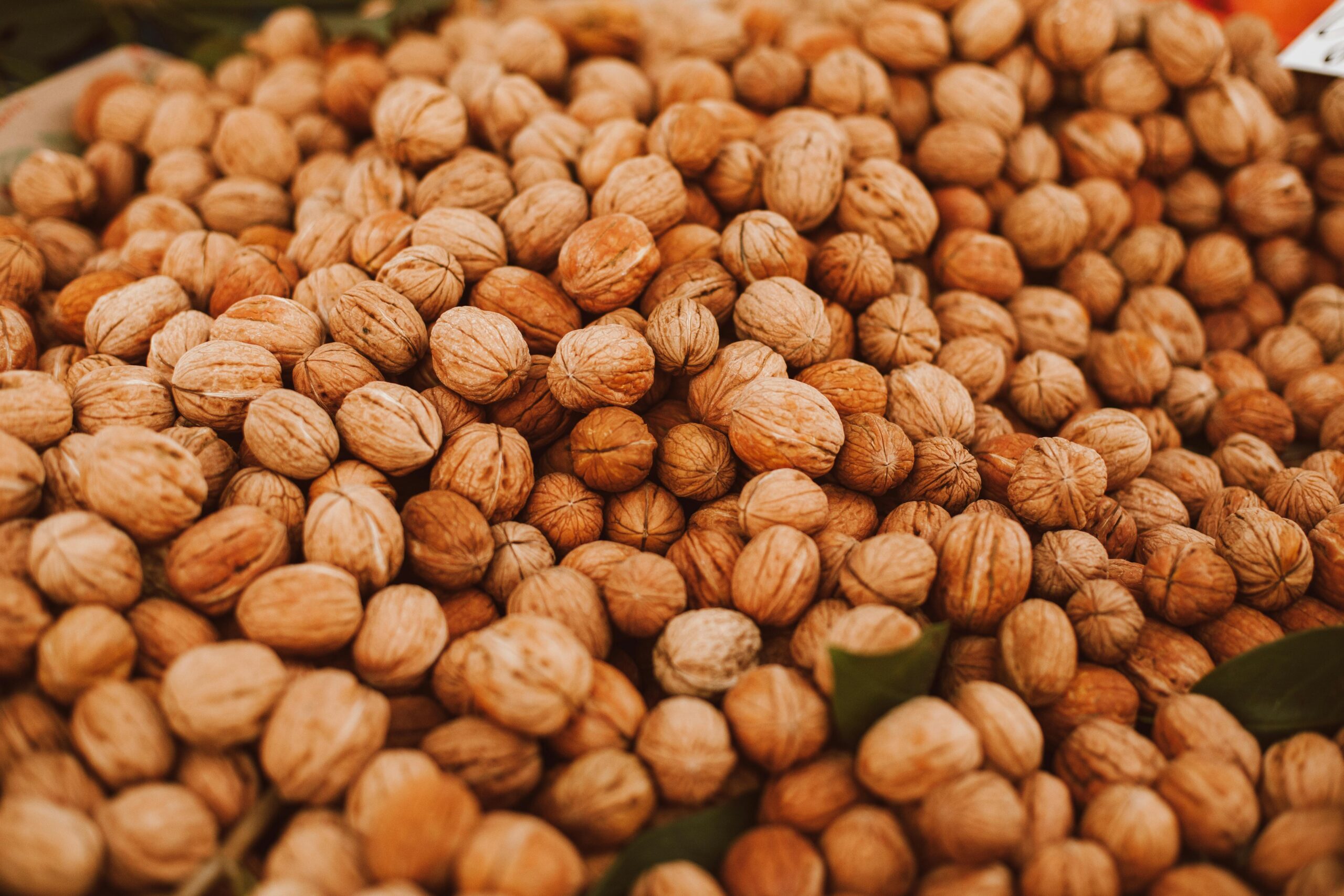 Close-up view of a large pile of organic walnuts ready for harvest and sale.